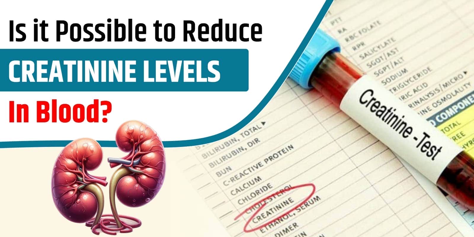 Is it Possible to Reduce Creatinine Levels in Blood?